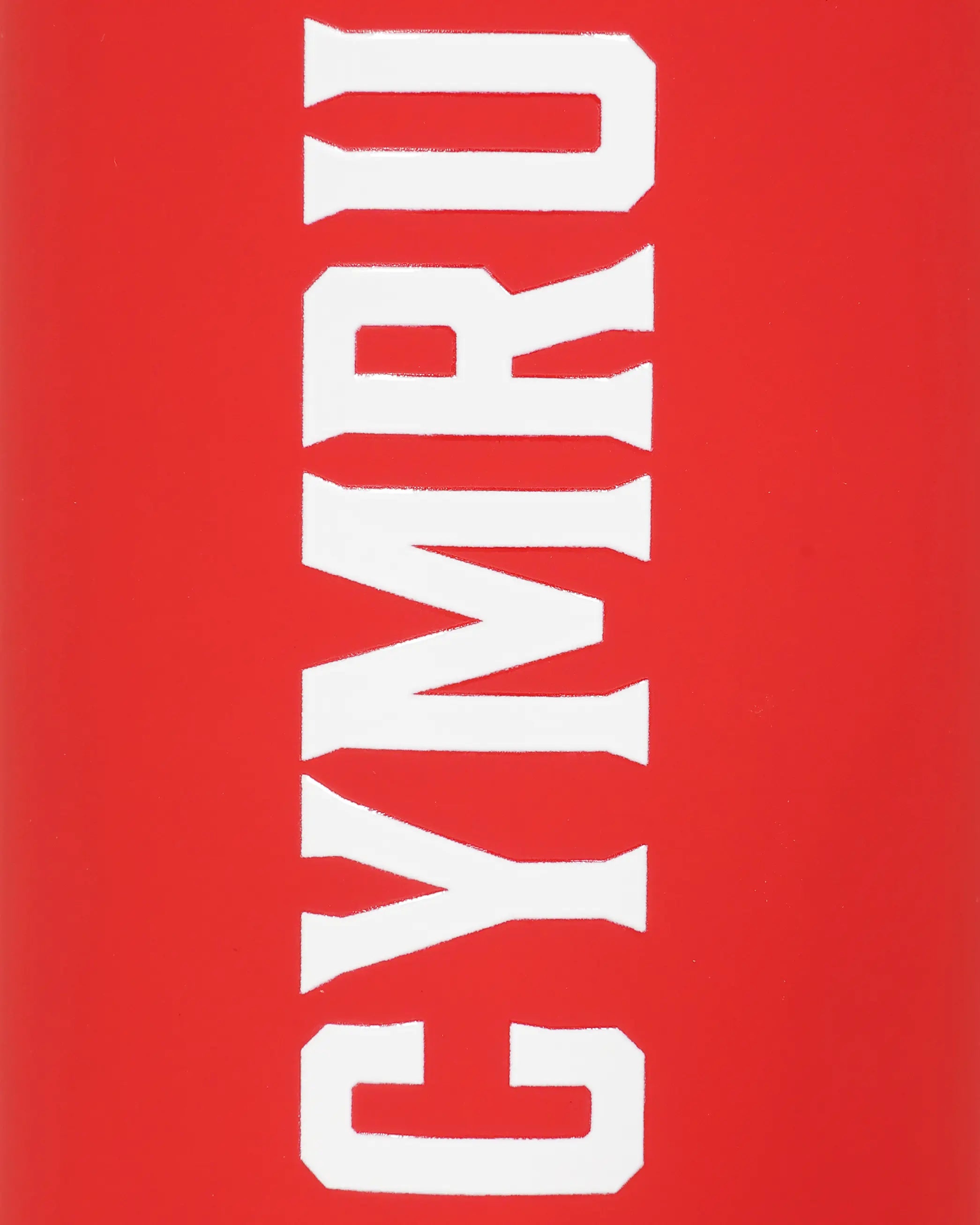 Wales Accessories Dynamics borraccia sportiva gadget tifoso
