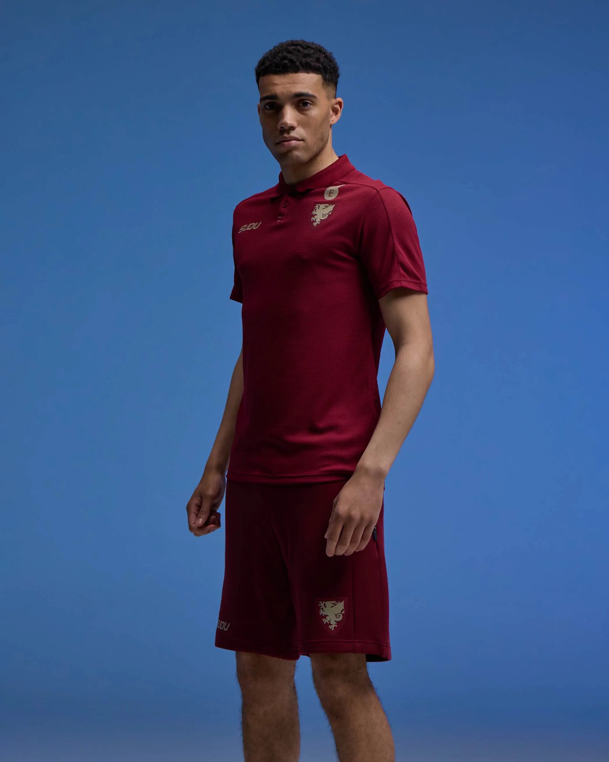 Wales Travel polo uomo bordeaux M