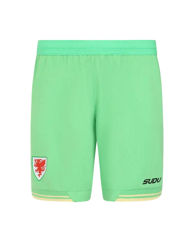 Wales Goalkeeper Kit shorts portiere junior verdi