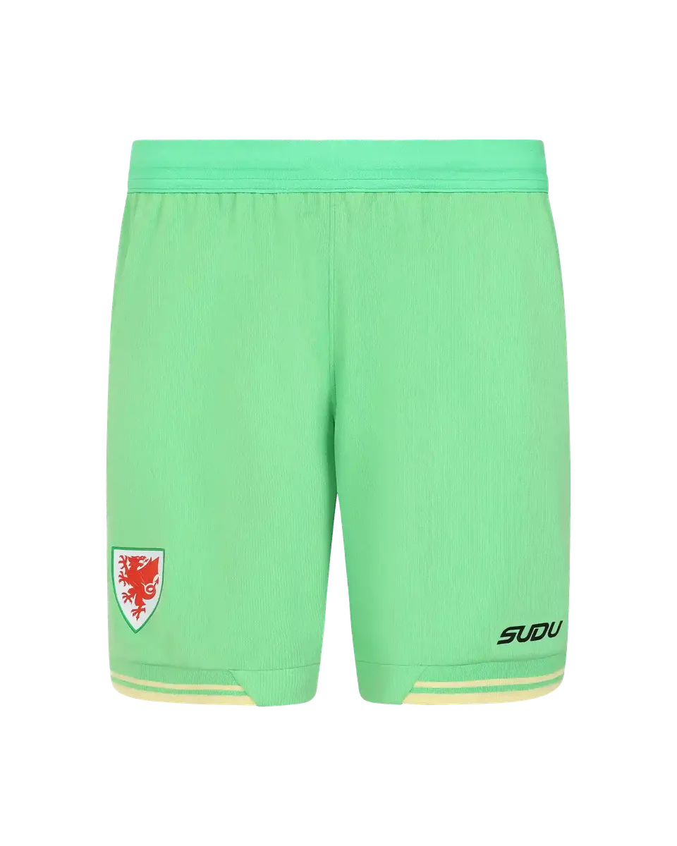 Wales Goalkeeper Kit shorts portiere junior verdi