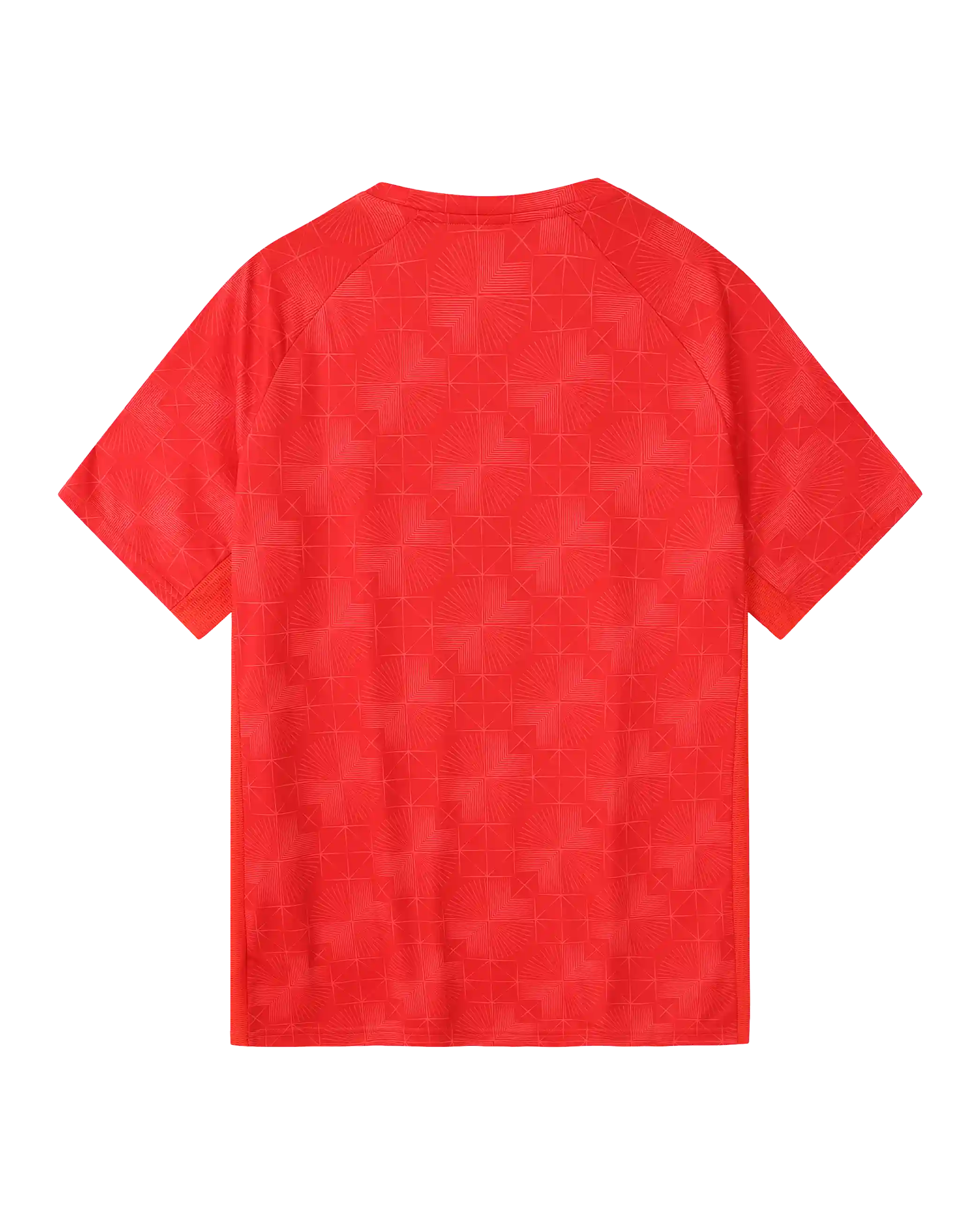 Wales SUDU 2026-28 Players Training T-Shirt junior