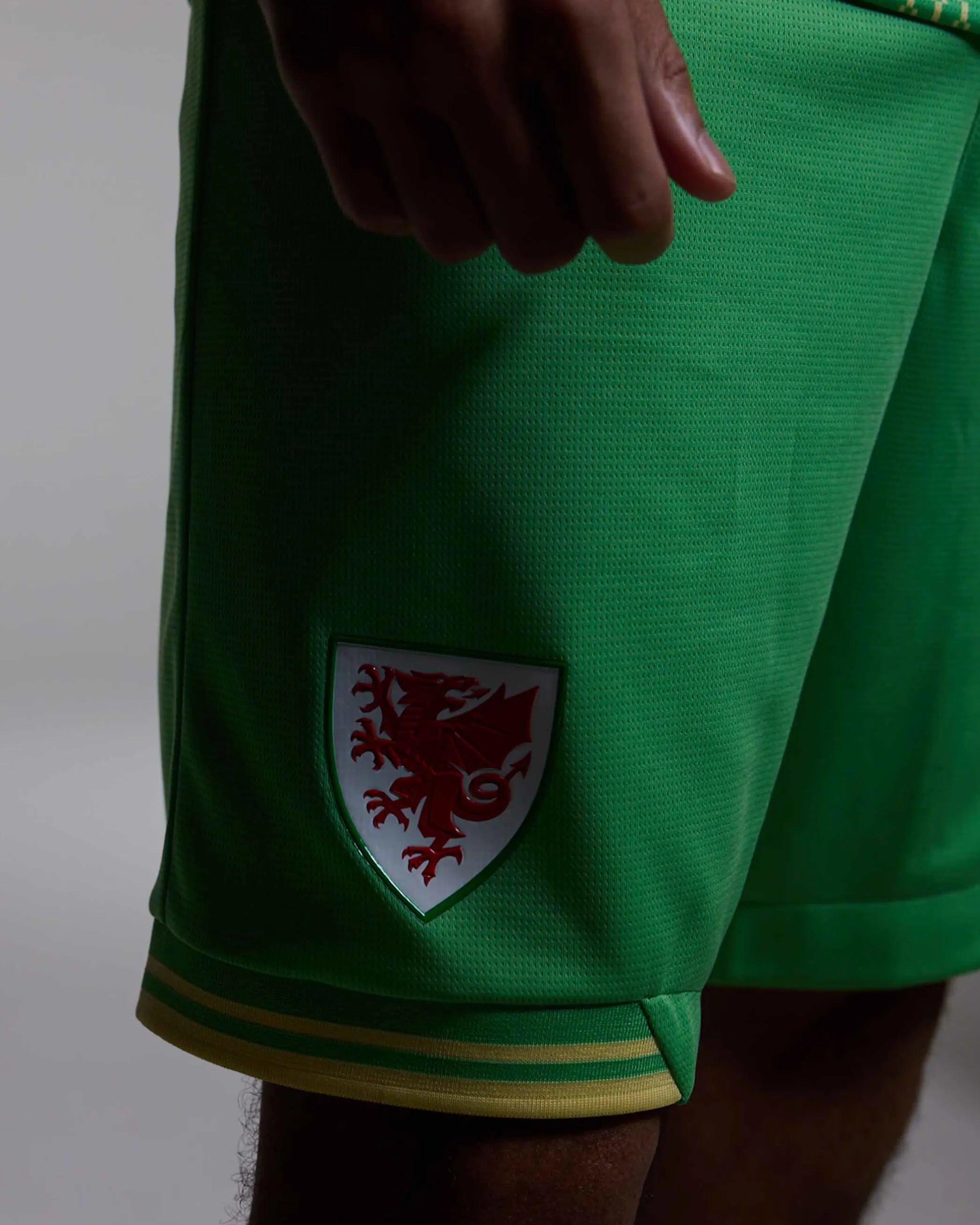 Wales Goalkeeper Kit pantaloncini portiere verde adulto