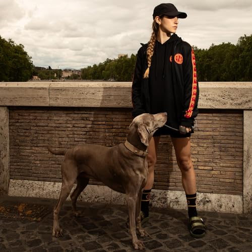 Roma Fanshop Abbigliamento calzini unisex adulto neri