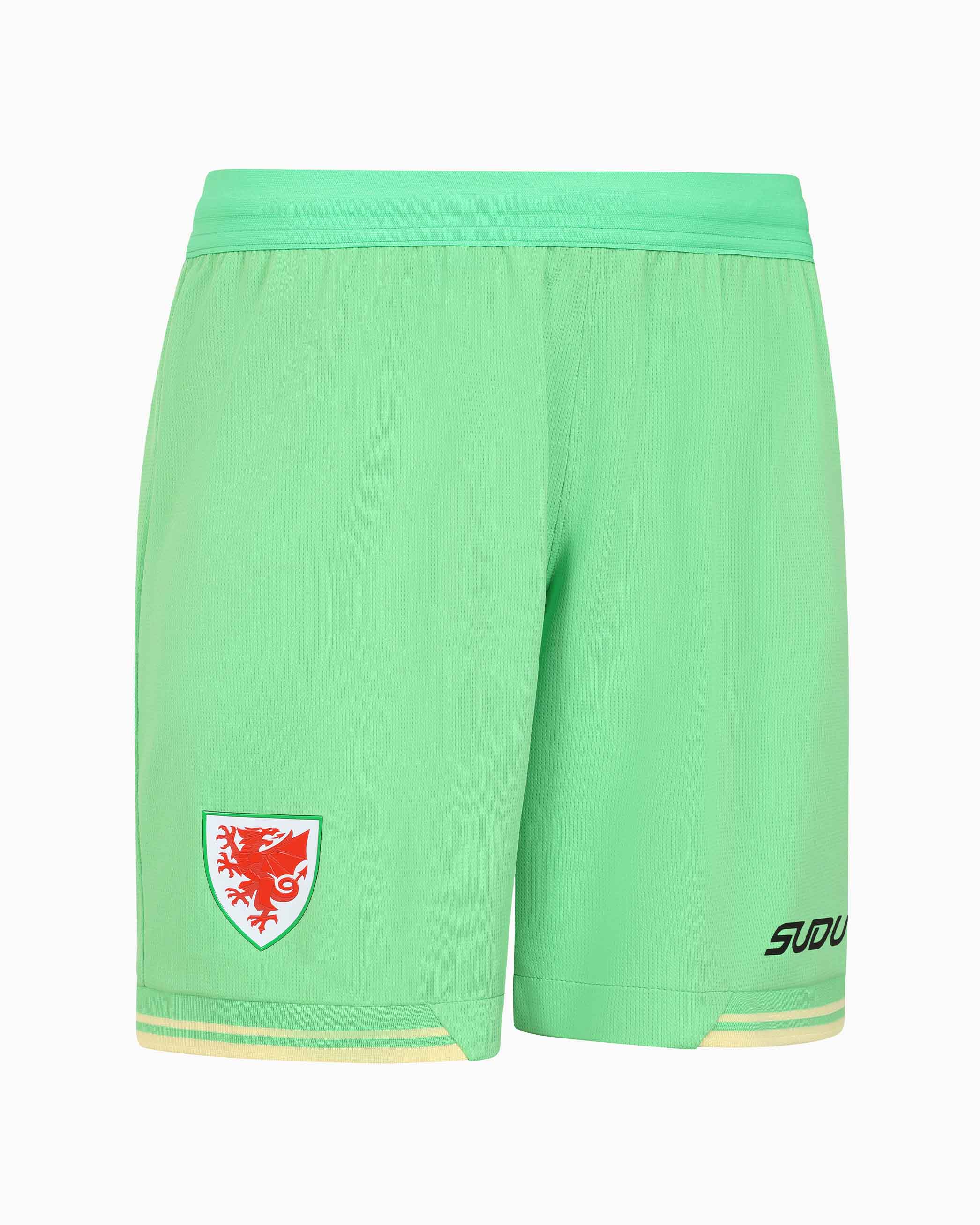 Wales Goalkeeper Kit pantaloncini portiere verde adulto
