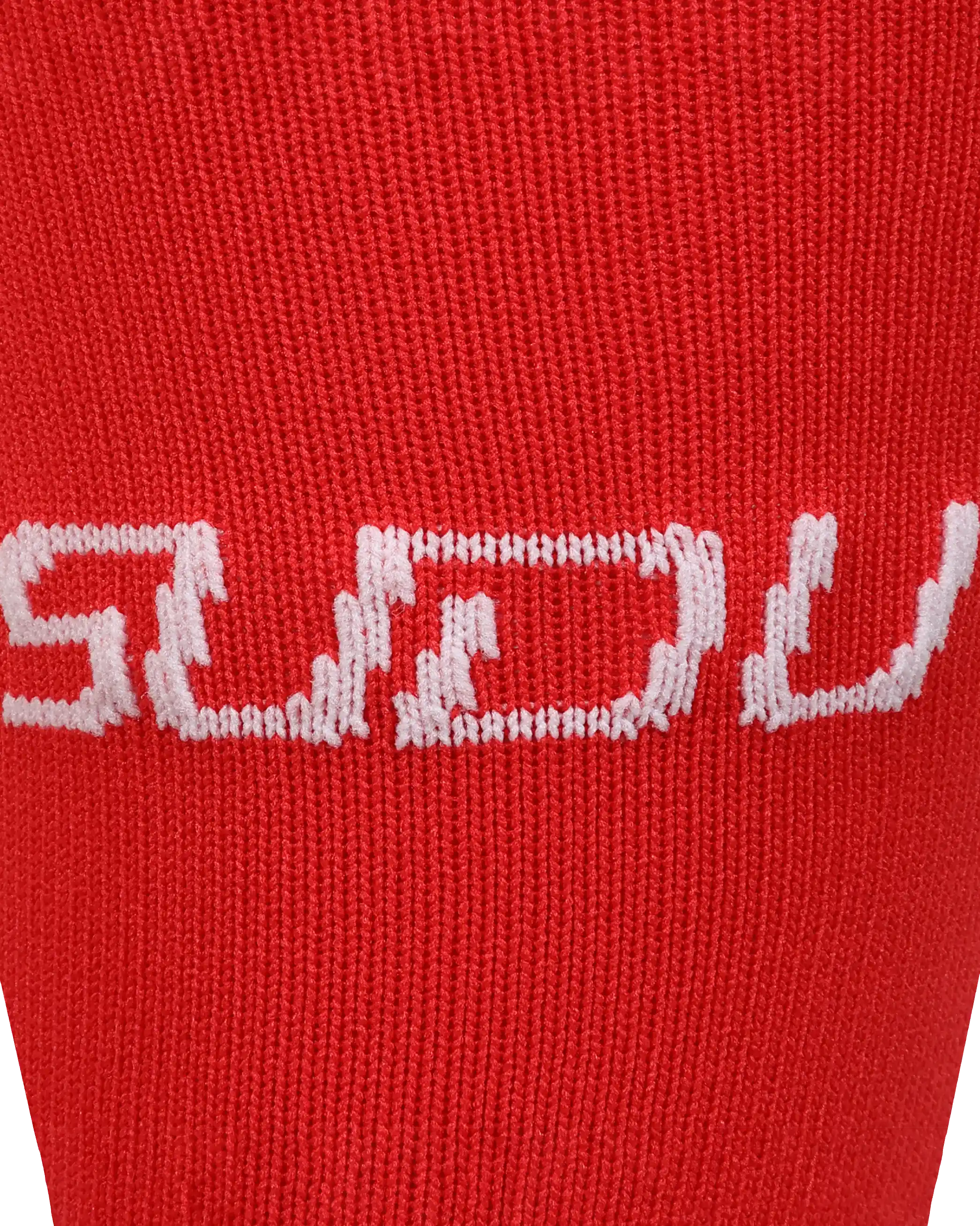 Wales SUDU 2026-28 calzettoni home junior rossi