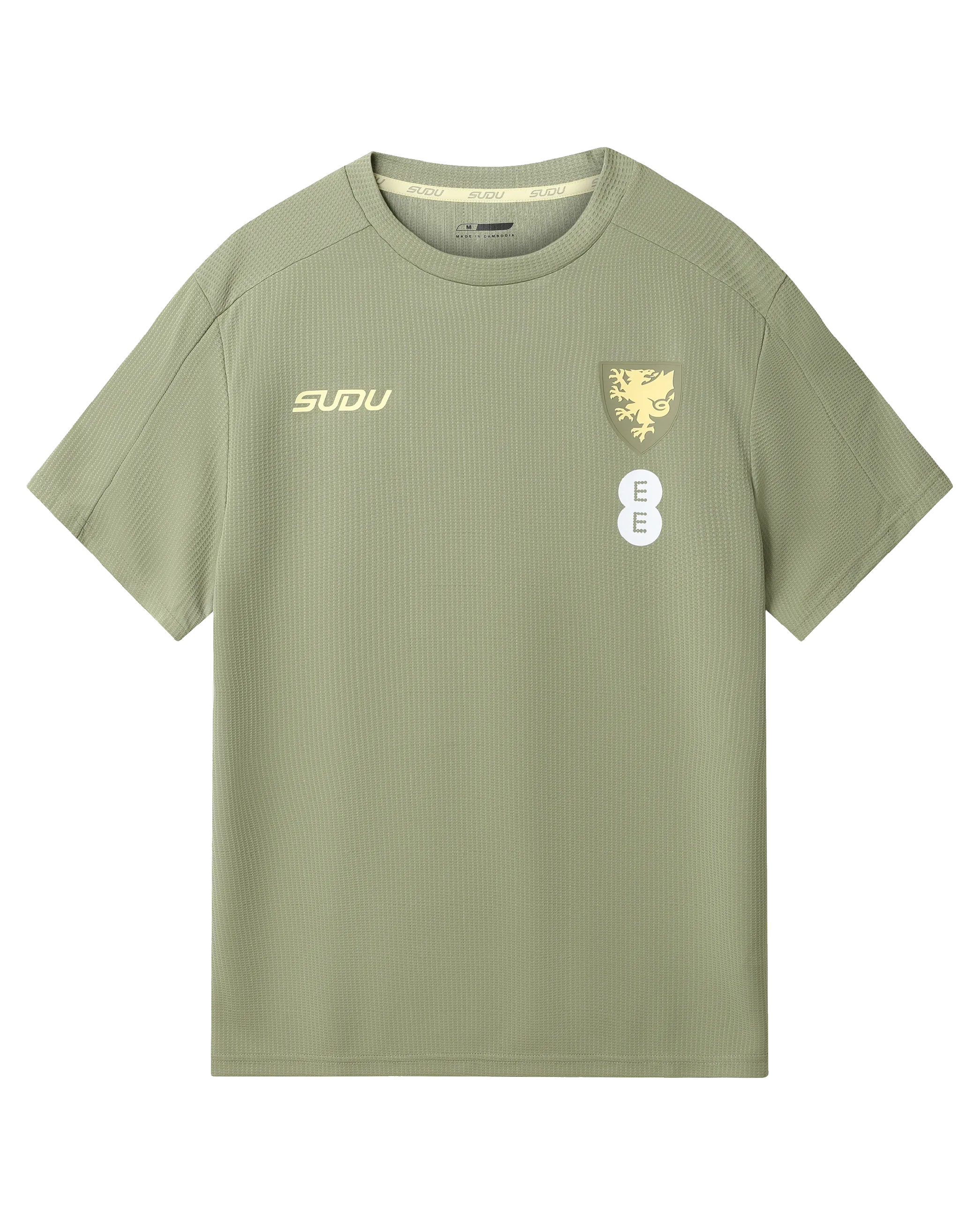 Wales Travel Players Away maglia da tifoso verde