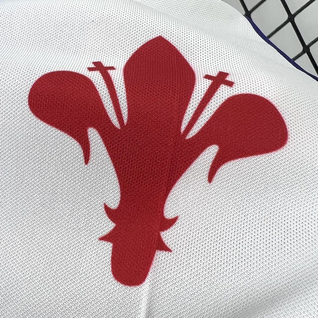 Tifoso Store Maglie da Calcio Fiorentina 1998/99 maglia casa viola