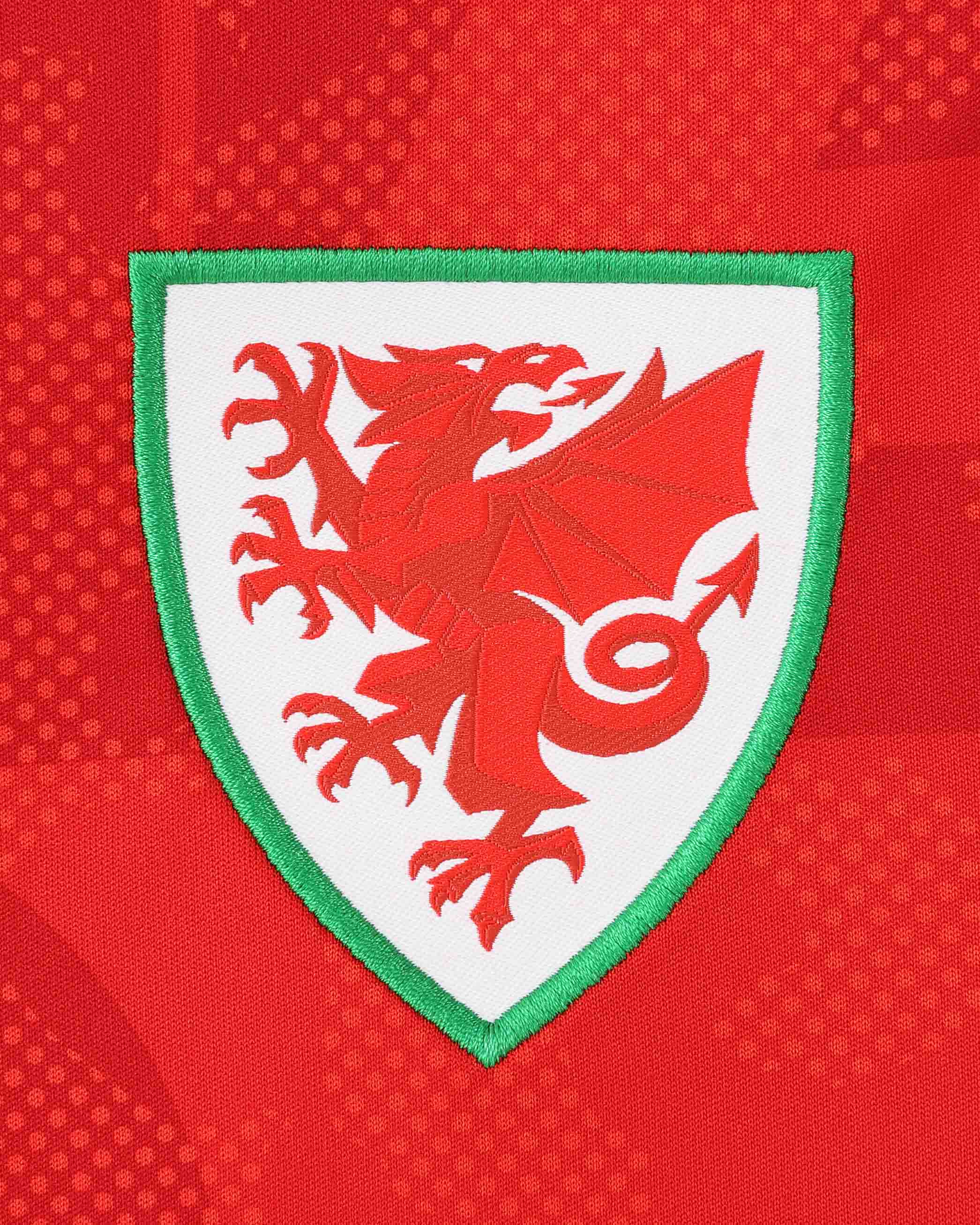 Wales SUDU 2026-28 t-shirt pre match donna