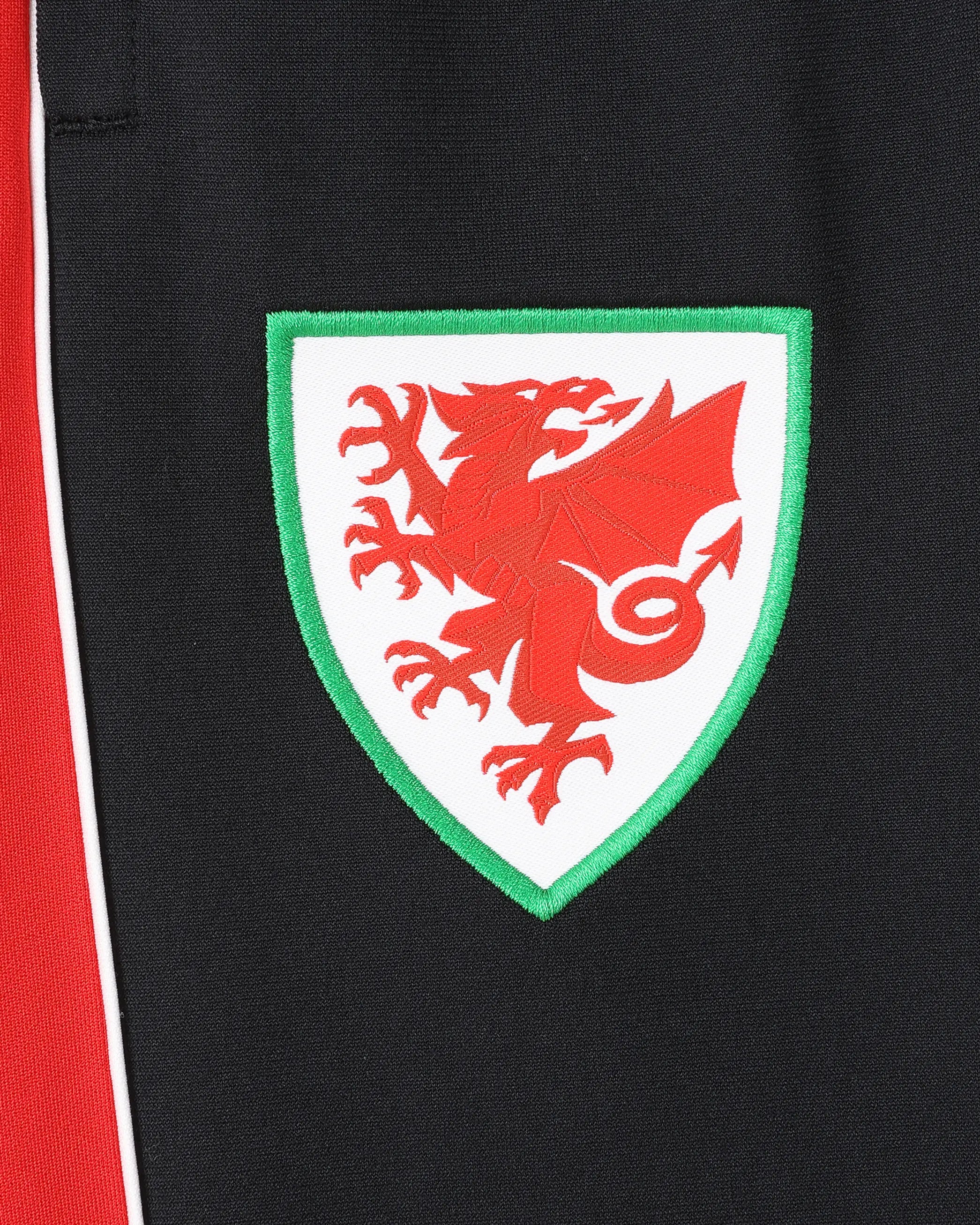 Wales Training pantaloni allenamento home junior