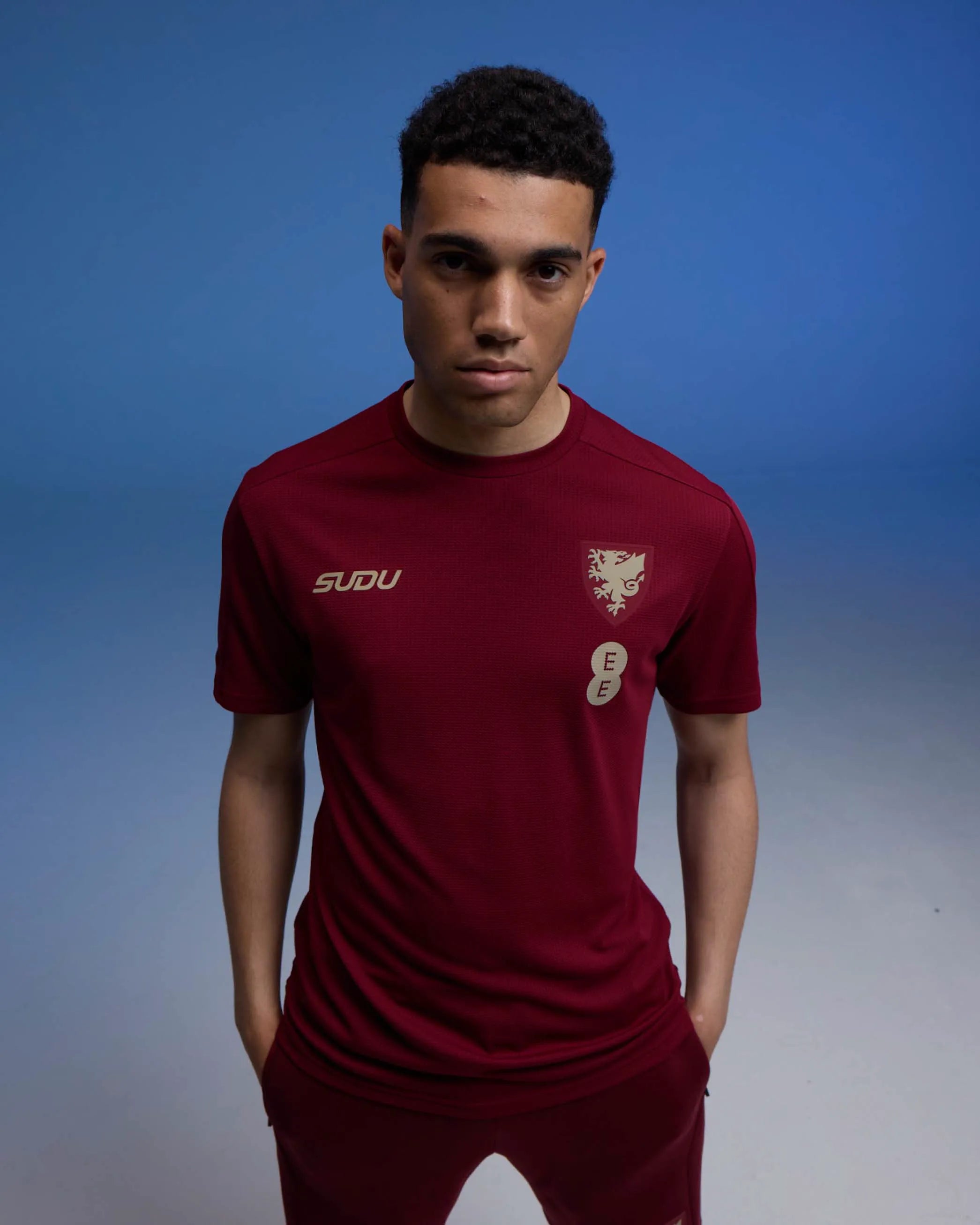 Wales Travel Players Home maglia da tifoso bordeaux