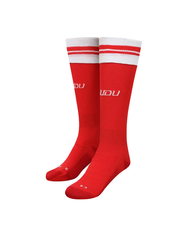 Wales SUDU 2026-28 calzettoni home junior rossi