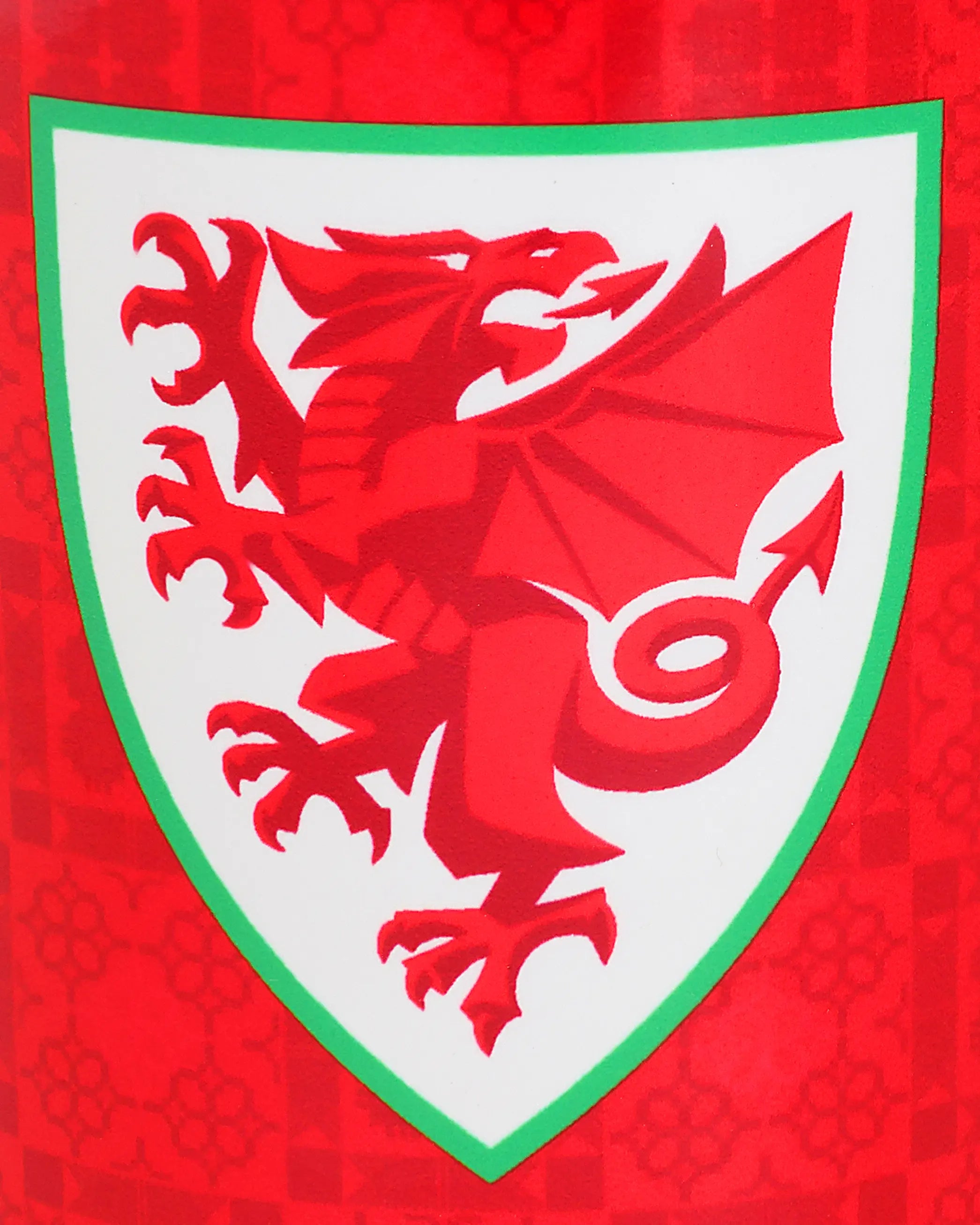 Wales Accessories Home Kit tazza mug rossa squadra