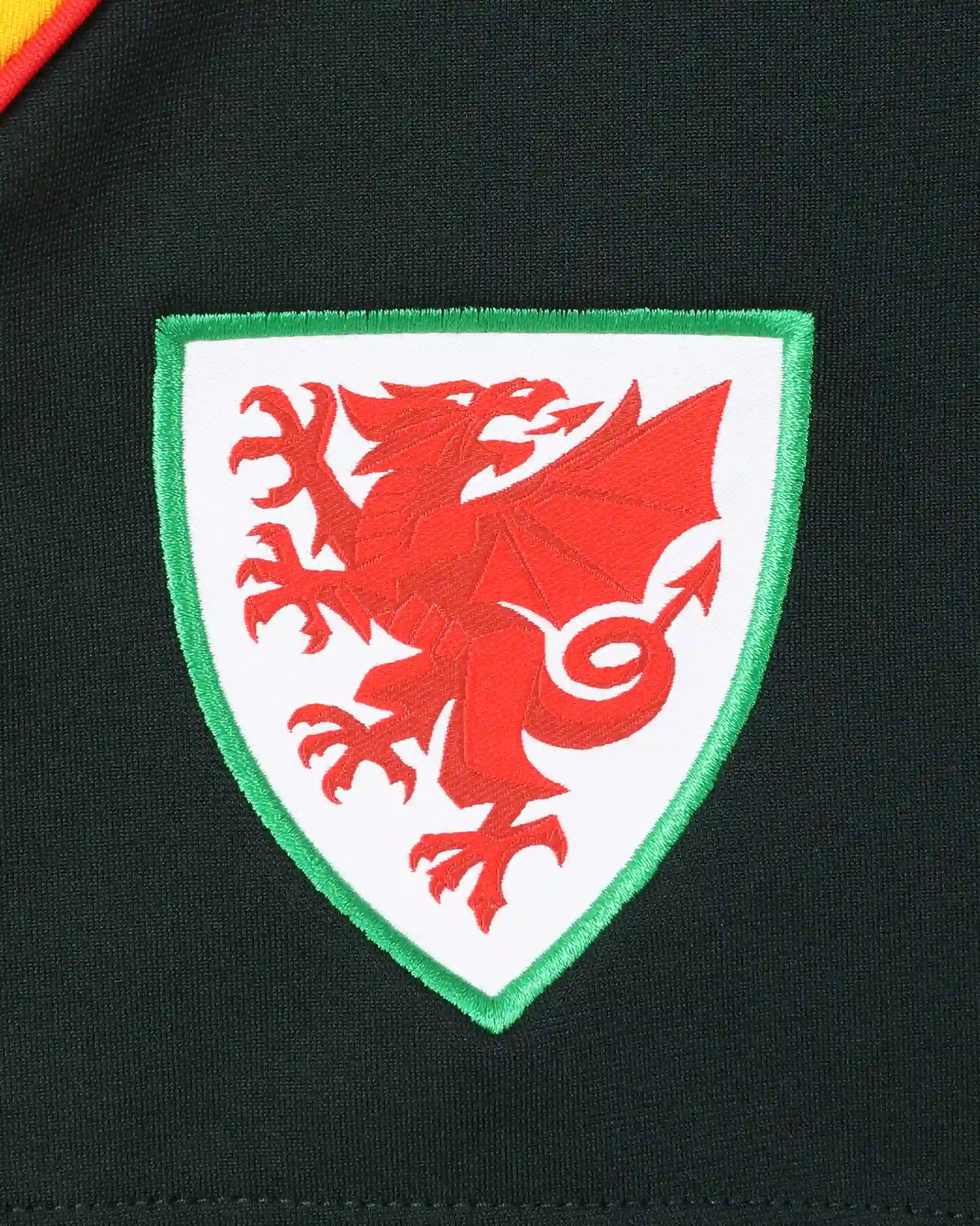 Wales SUDU 2026-27 pantaloncini allenamento verdi M