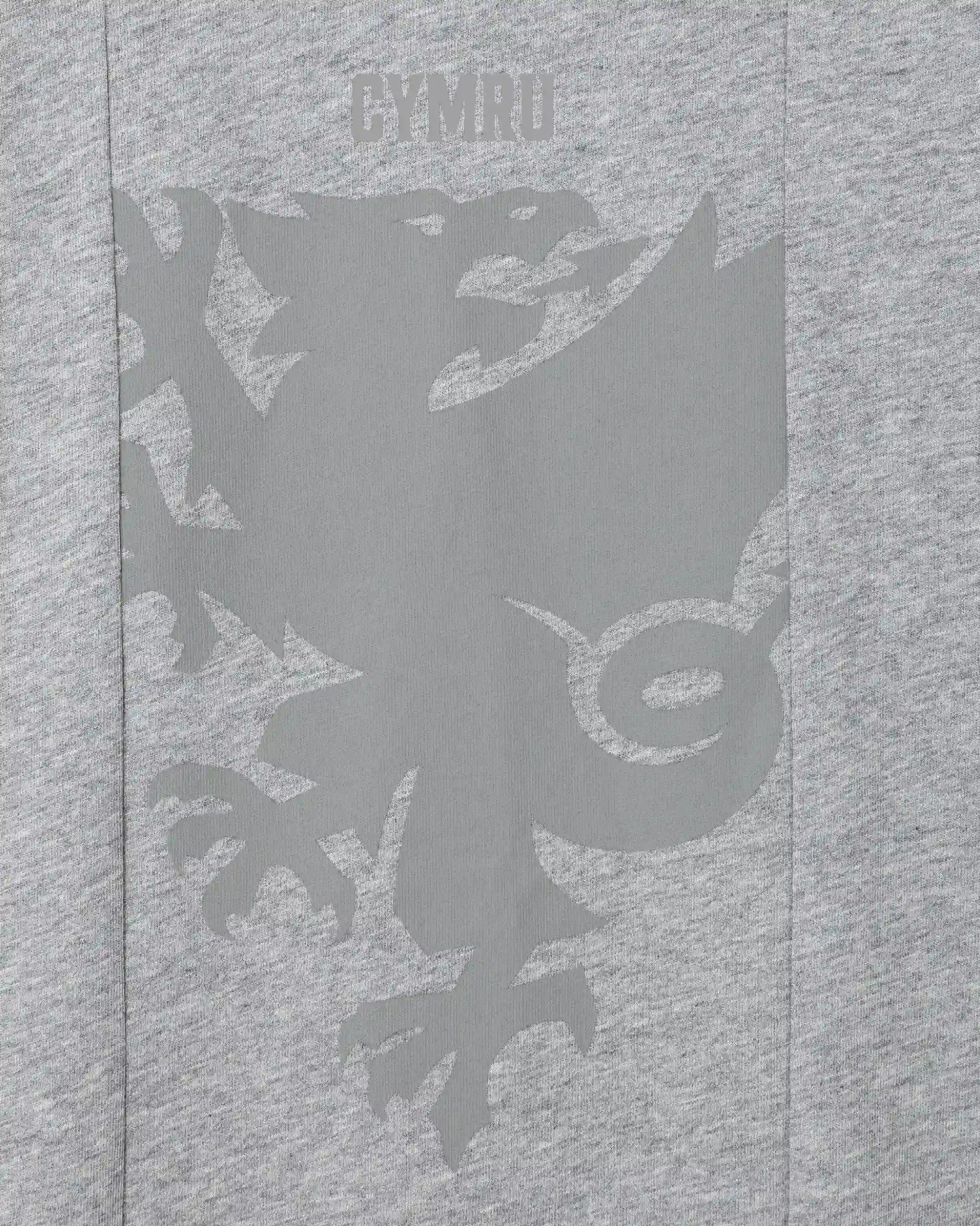 Wales Fanwear Draig Crest t-shirt grigia cotone