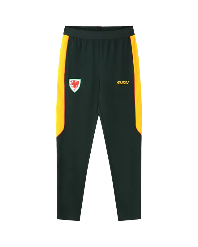Wales SUDU 2026-27 pantaloni allenamento verdi L