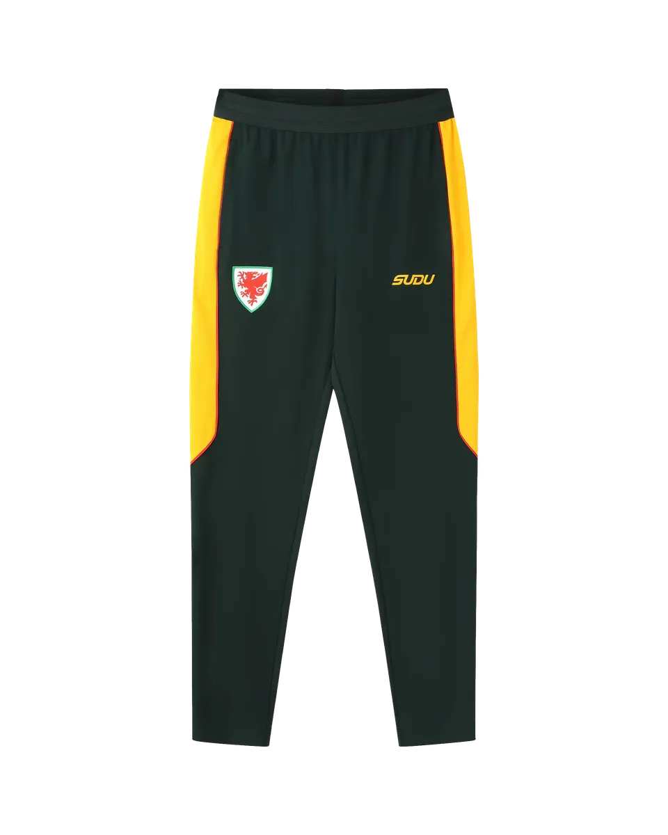 Wales SUDU 2026-27 pantaloni allenamento verdi L