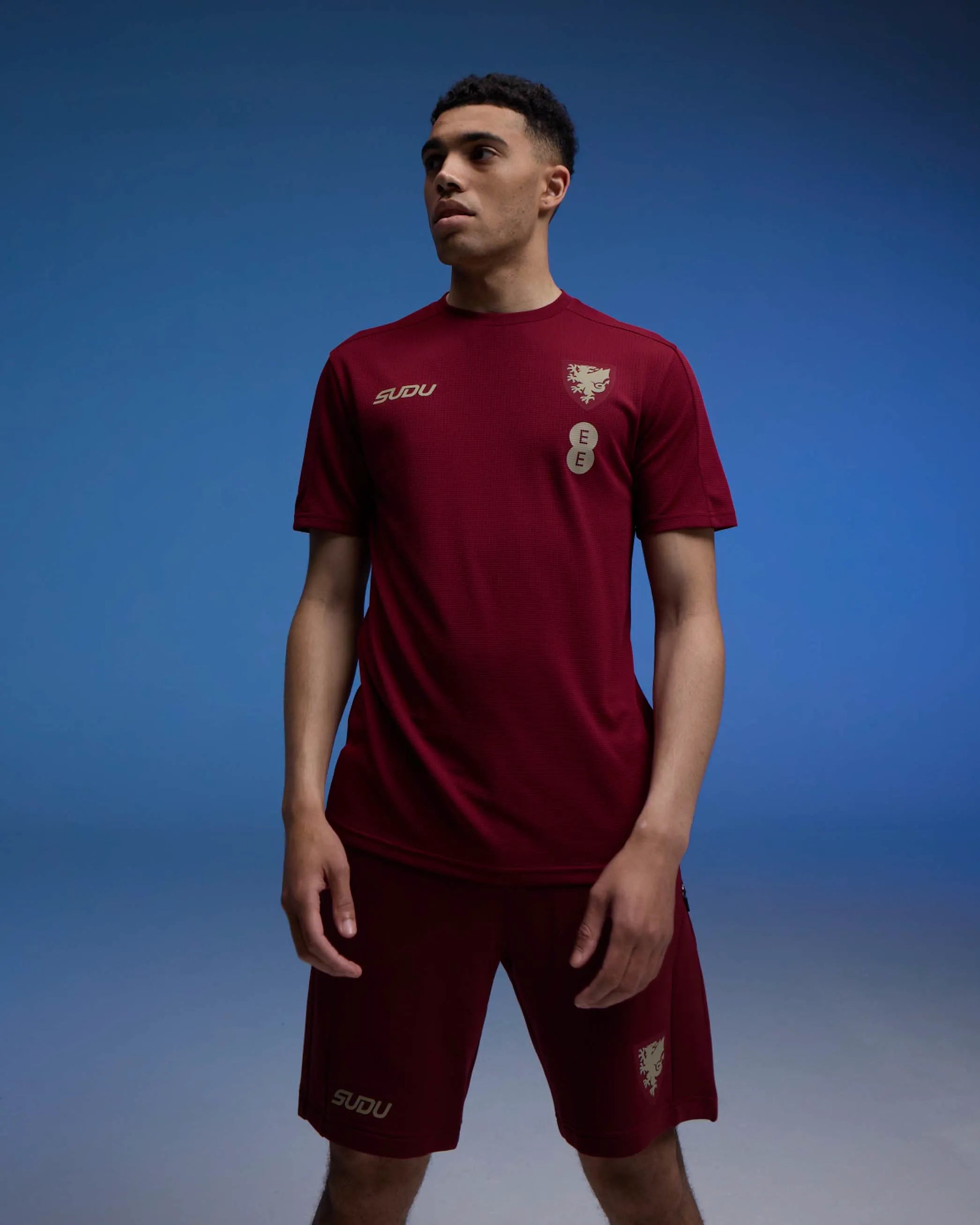 Wales Travel Players Home maglia da tifoso bordeaux