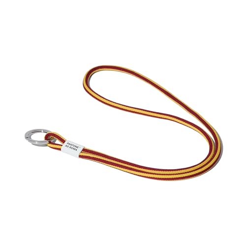 Roma Fanshop Pantone Key Chain Long portachiavi