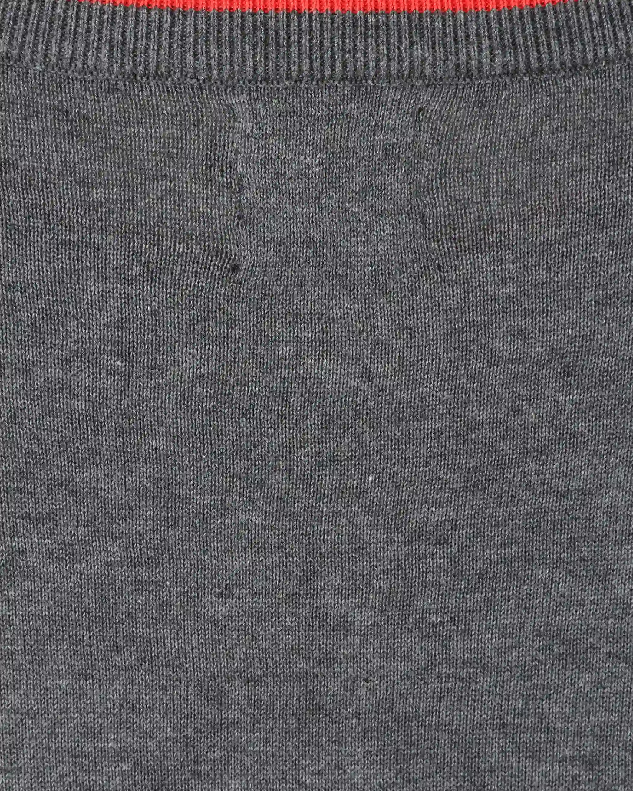 Wales Fanwear 1876 felpa girocollo grigia