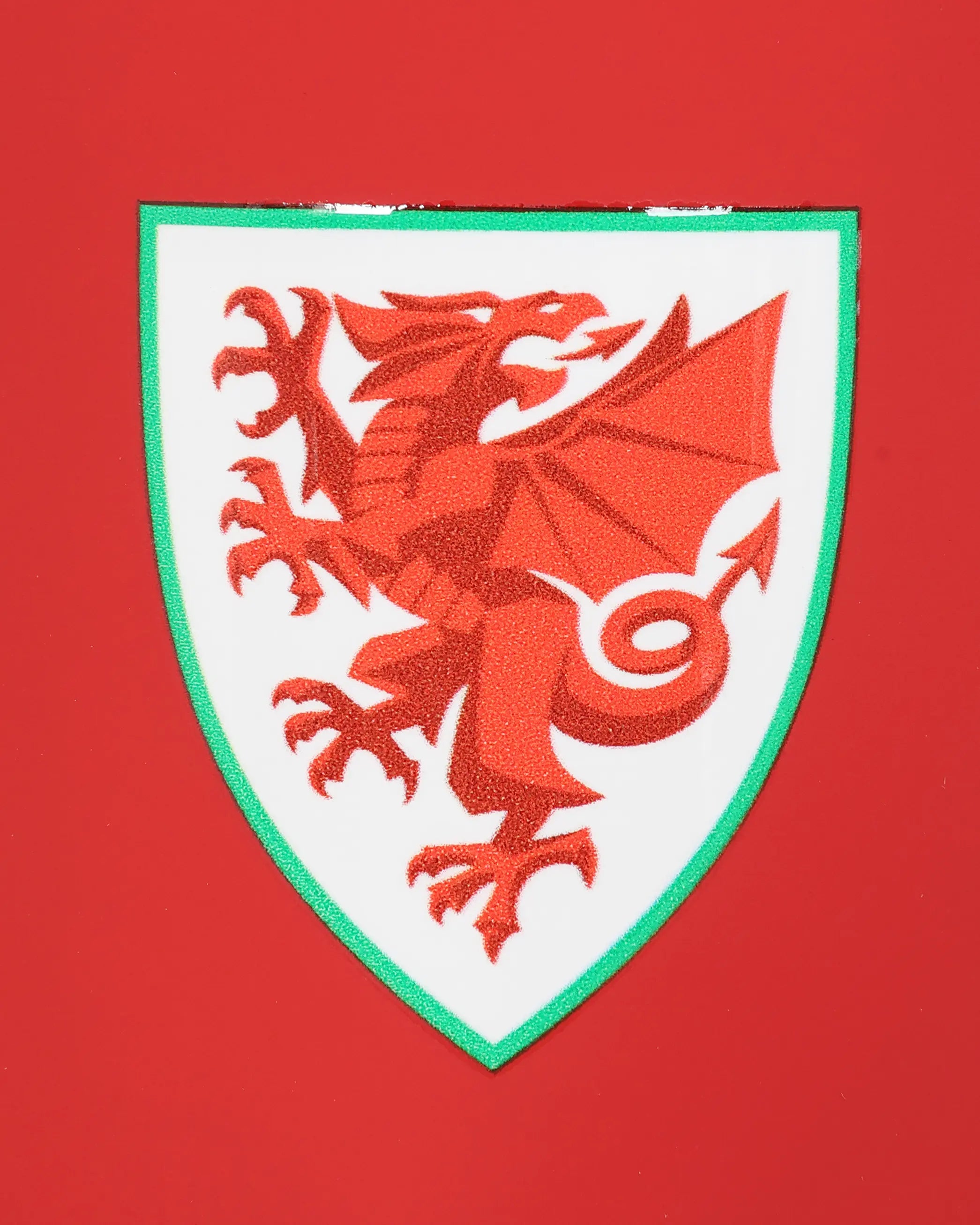 Wales Accessories Dynamics borraccia sportiva gadget tifoso