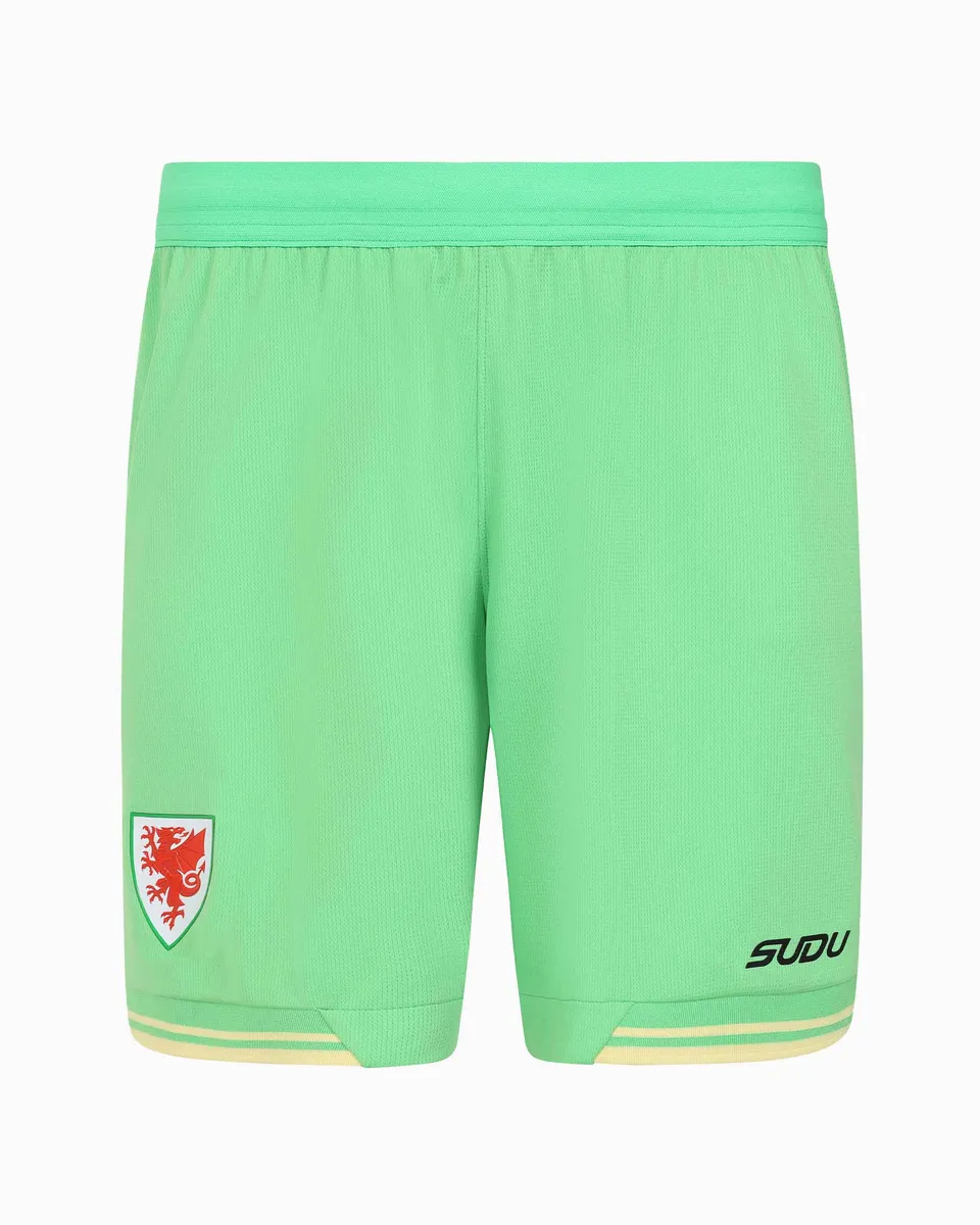Wales Goalkeeper Kit pantaloncini portiere verde adulto