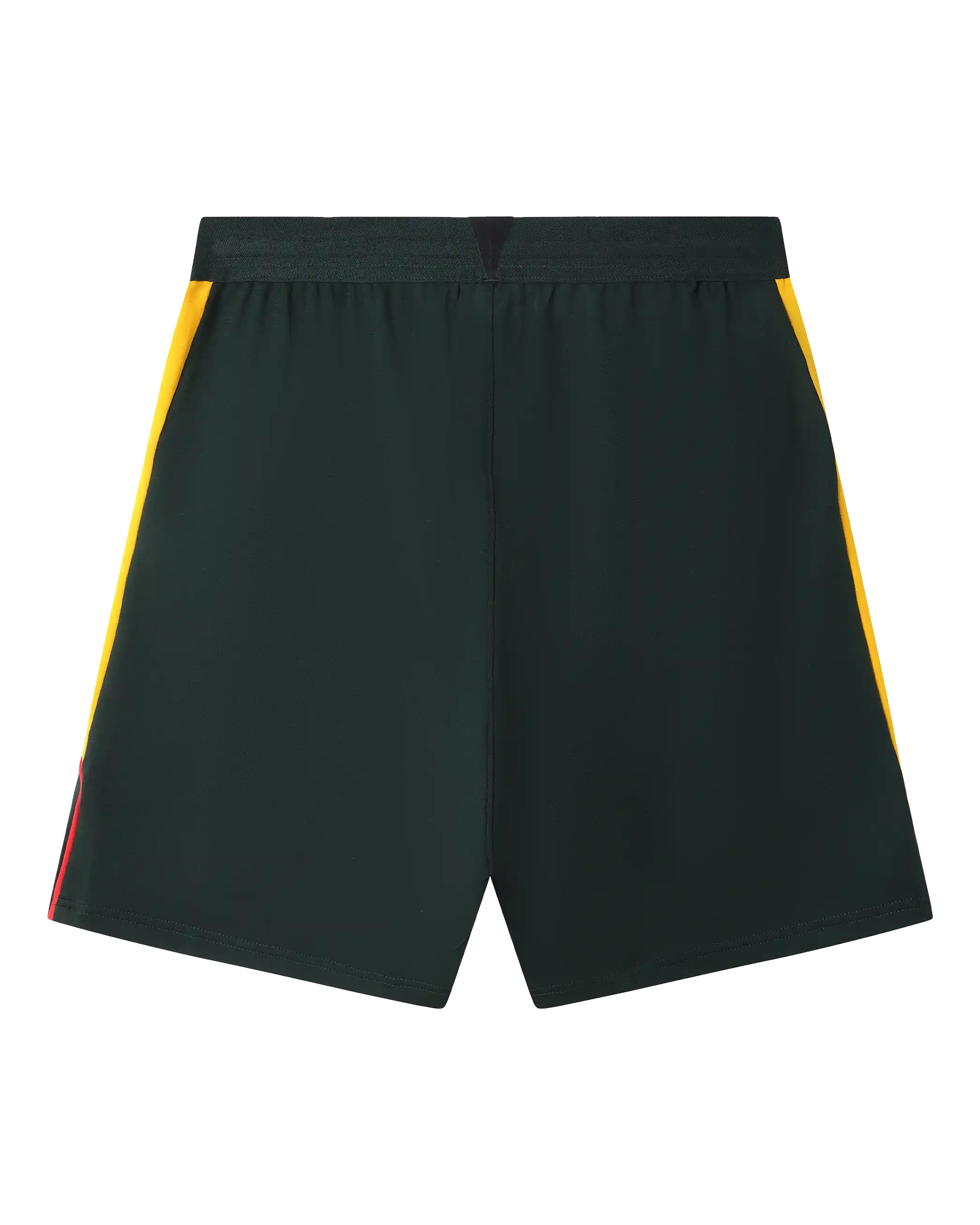 Wales SUDU 2026-27 pantaloncini allenamento verdi M