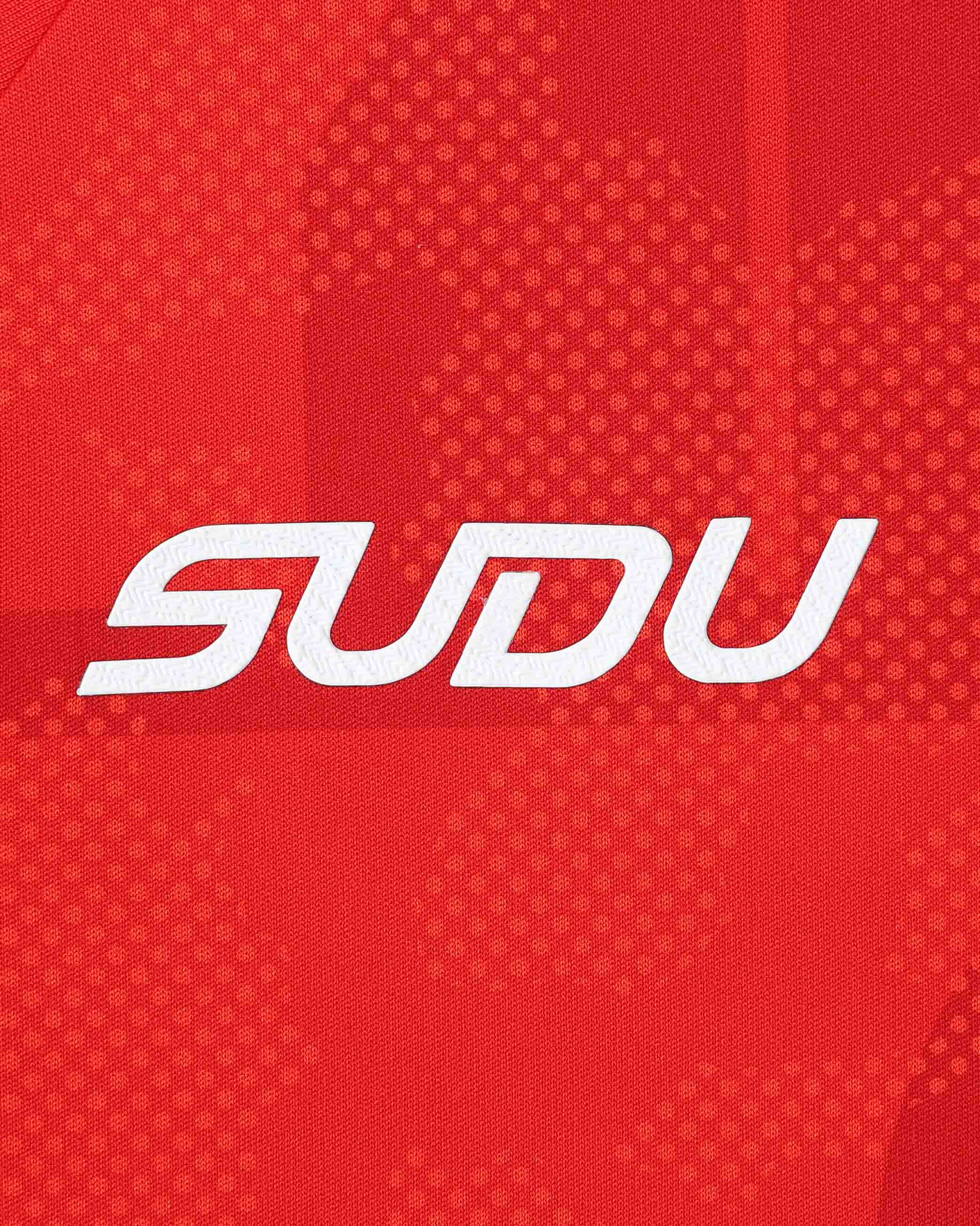Wales SUDU 2026-28 t-shirt pre match donna