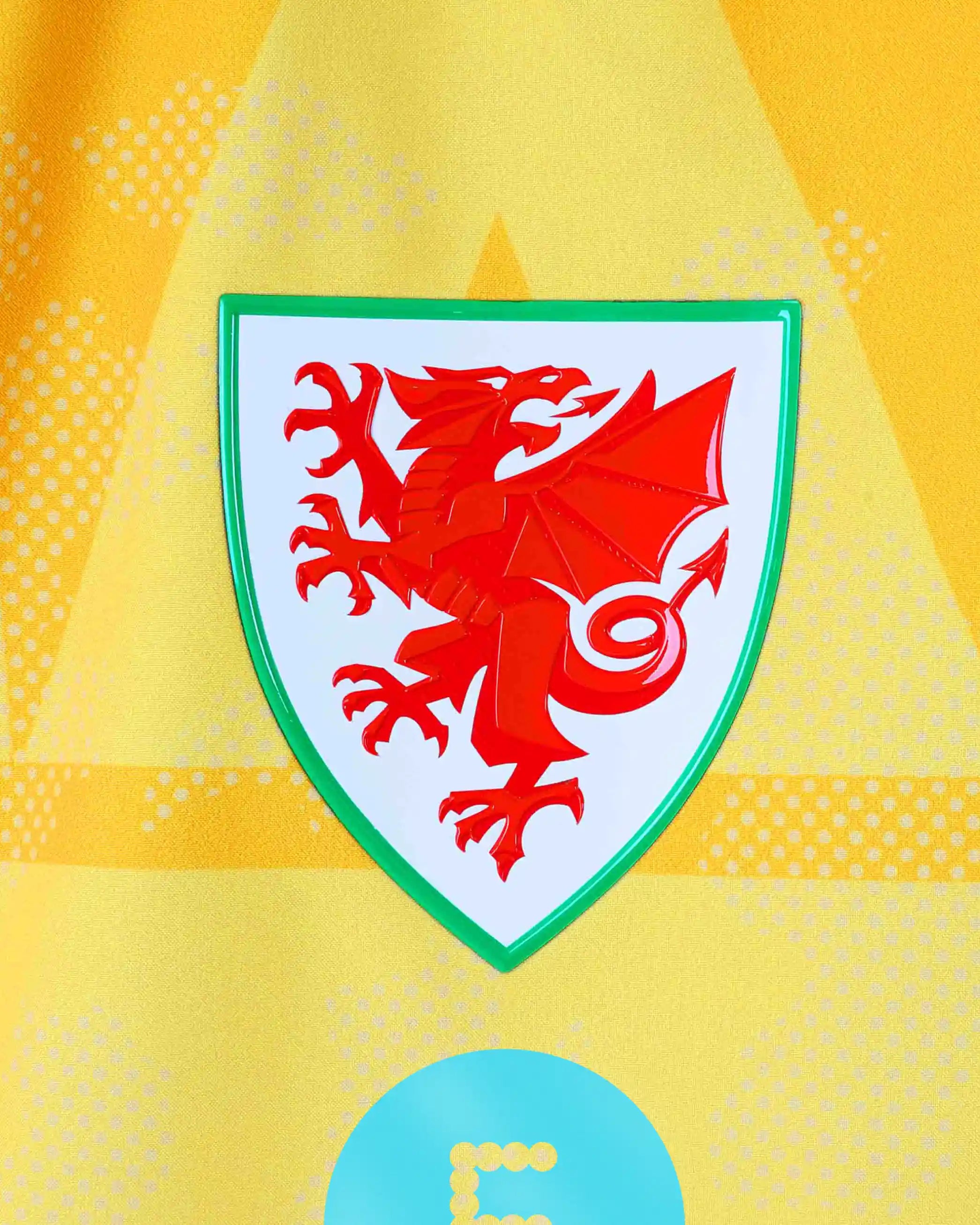 Wales SUDU Pre-Match 2026-27 giacca leggera uomo gialla