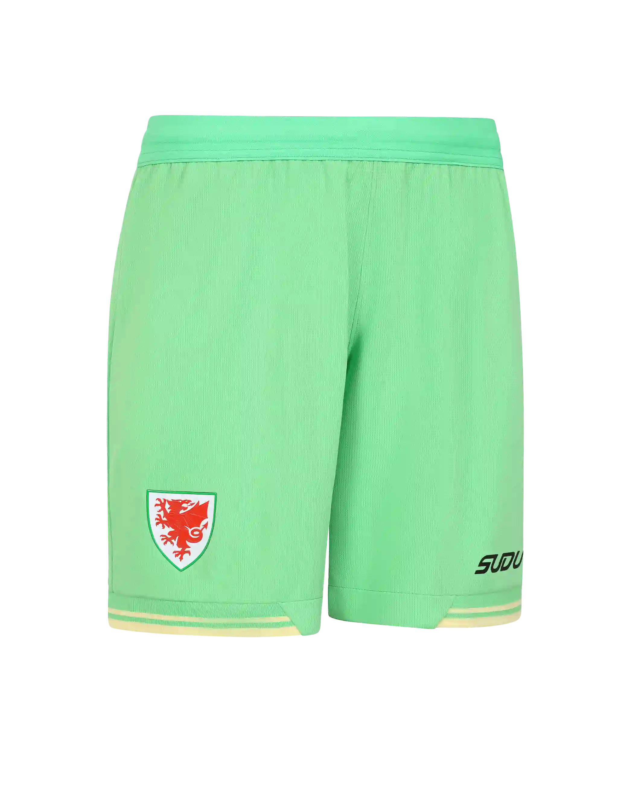 Wales Goalkeeper Kit shorts portiere junior verdi