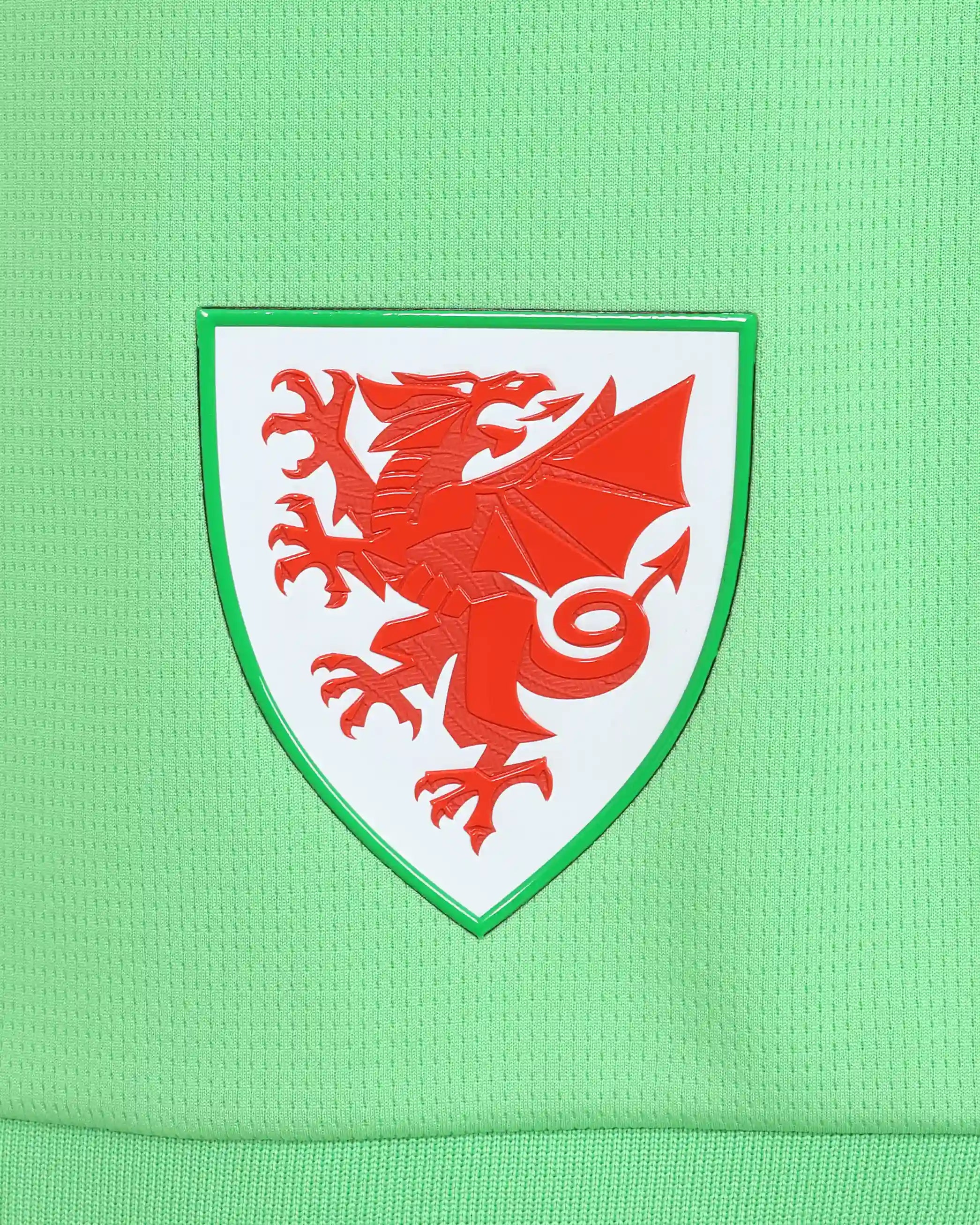 Wales Goalkeeper Kit shorts portiere junior verdi