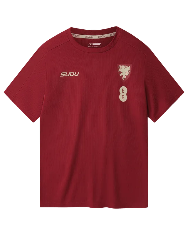 Wales Travel Players Home maglia da tifoso bordeaux