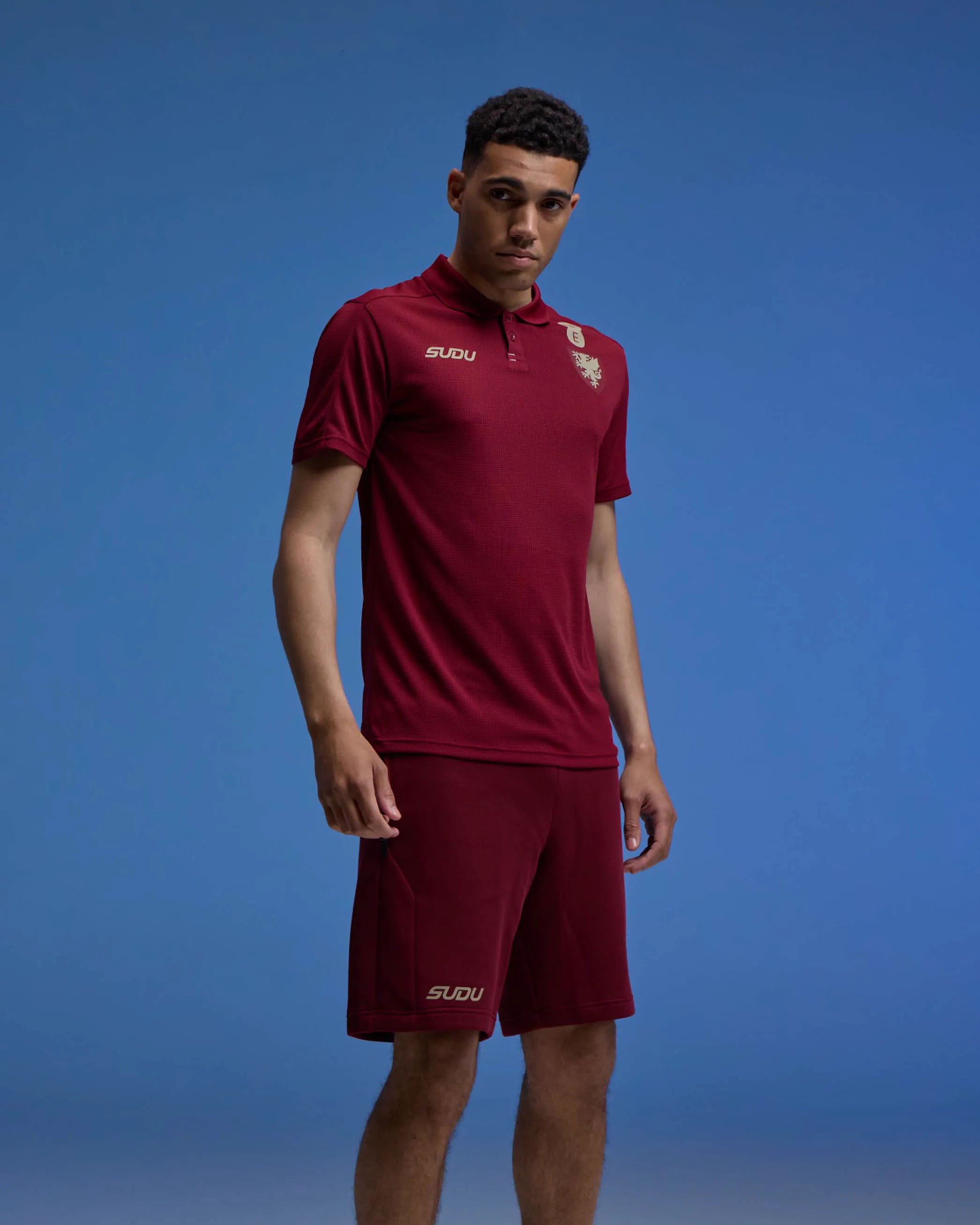 Wales Travel polo uomo bordeaux M