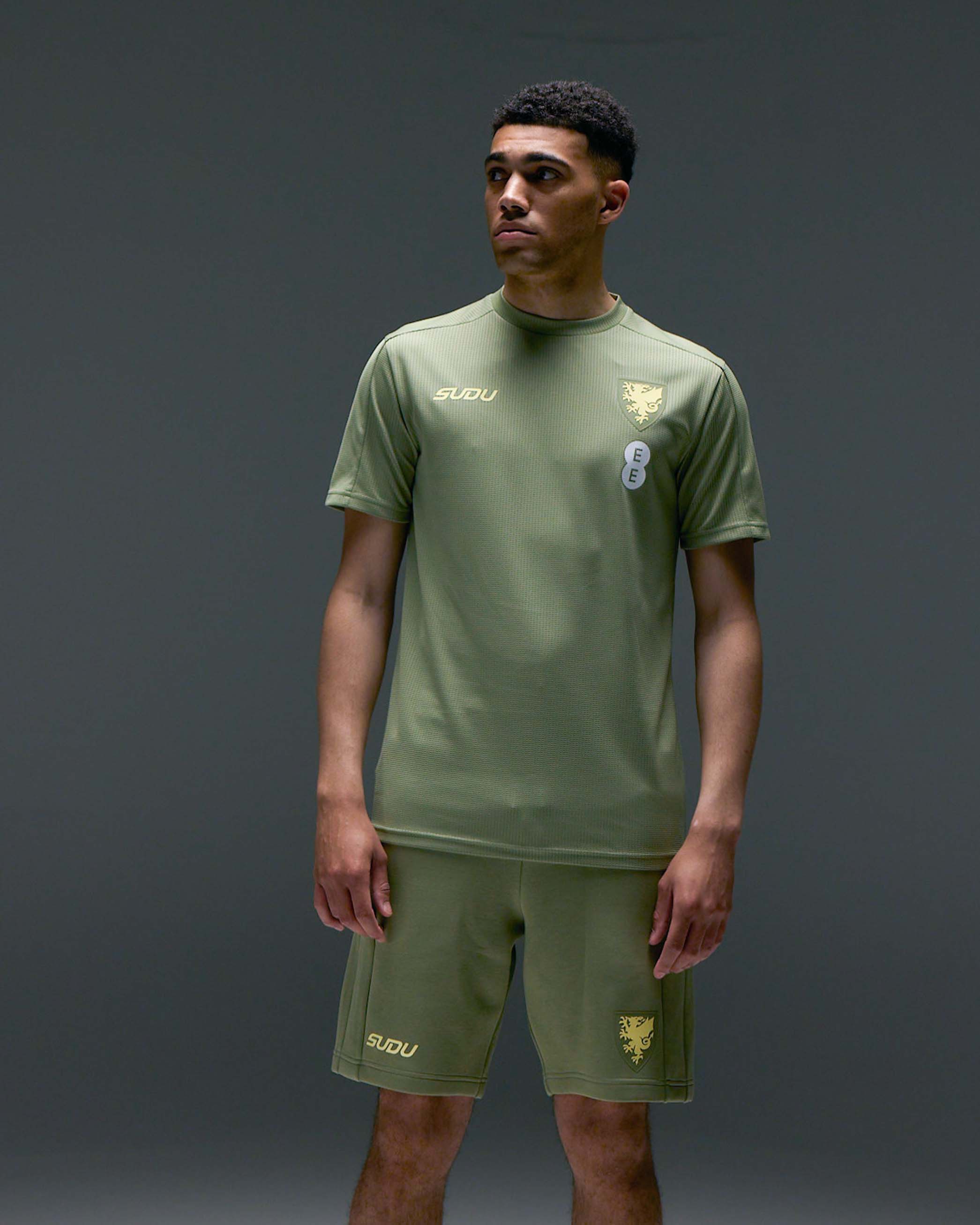 Wales Travel Players Away maglia da tifoso verde
