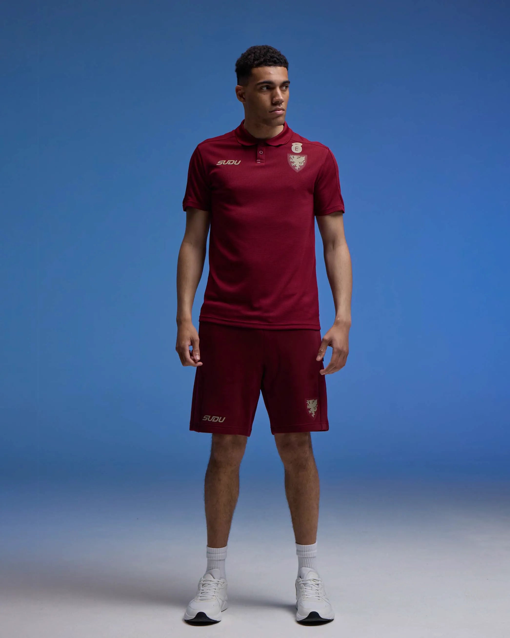 Wales Travel polo uomo bordeaux M