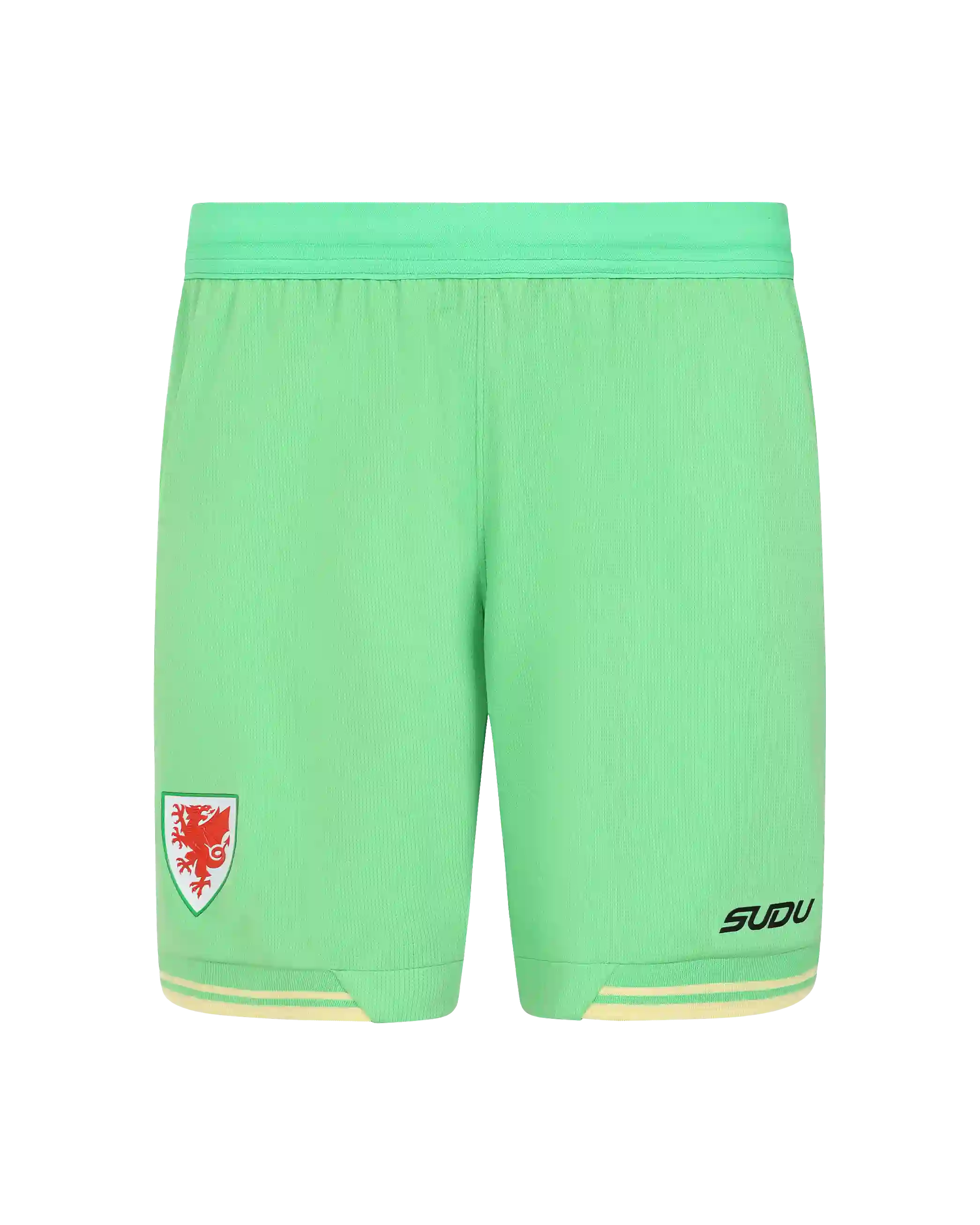 Wales Goalkeeper Kit shorts portiere junior verdi