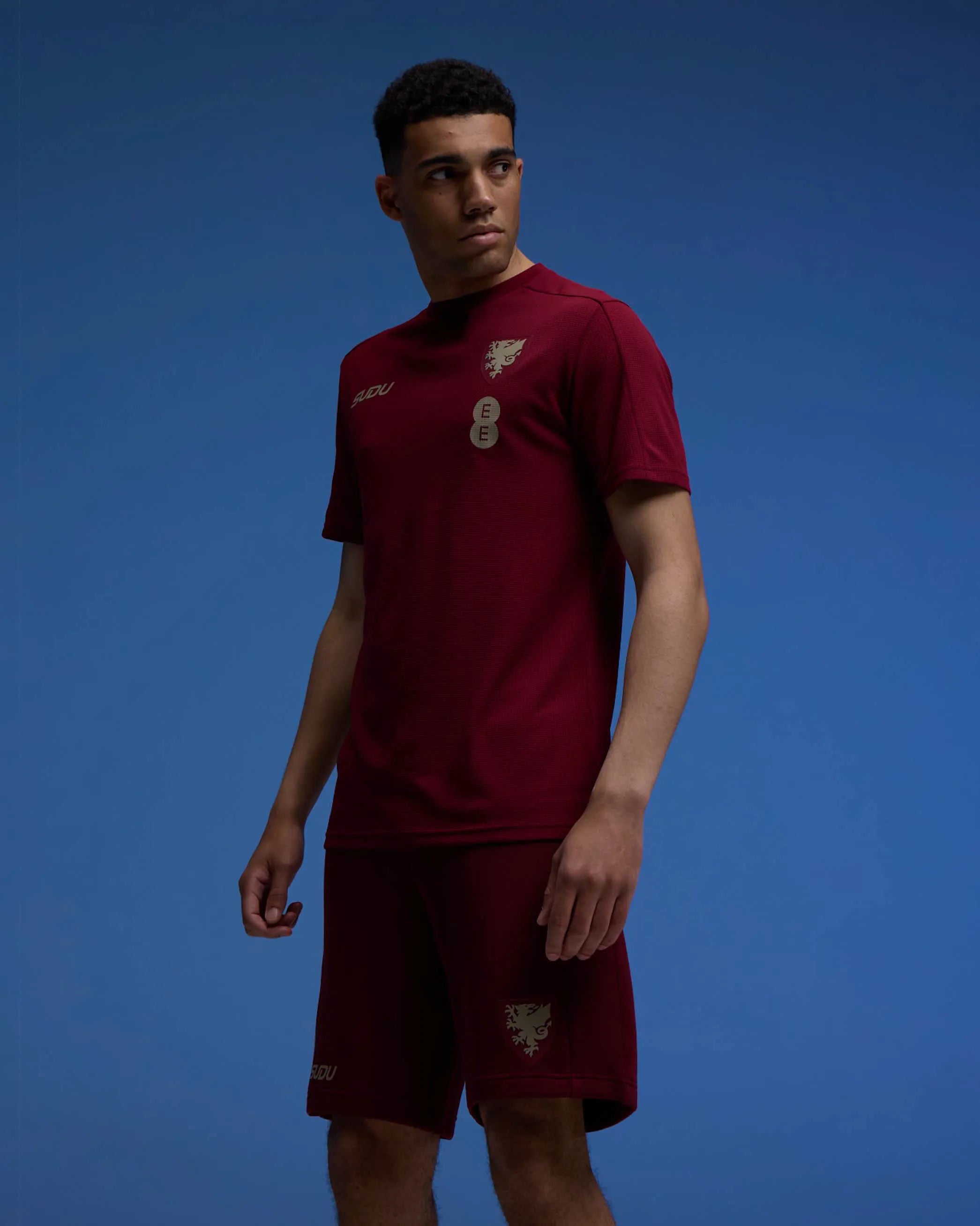 Wales Travel Players Home maglia da tifoso bordeaux