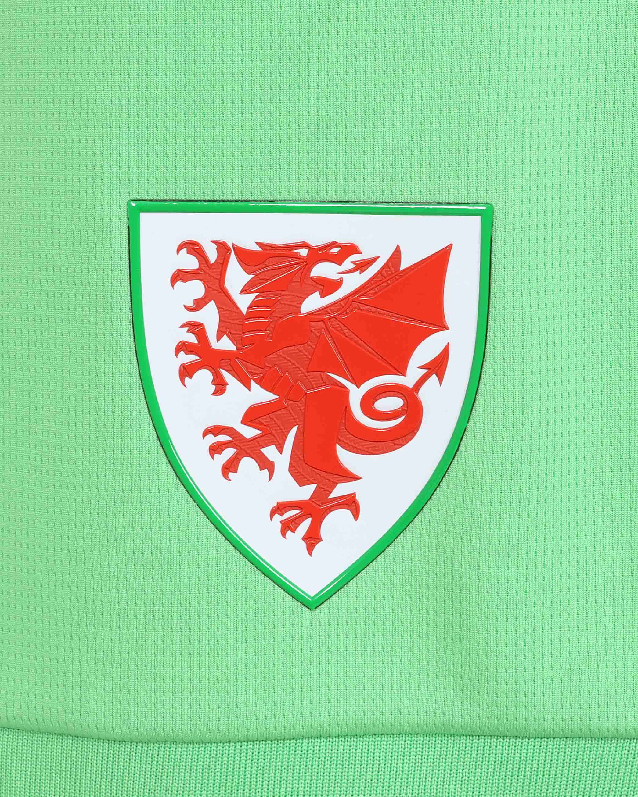 Wales Goalkeeper Kit pantaloncini portiere verde adulto