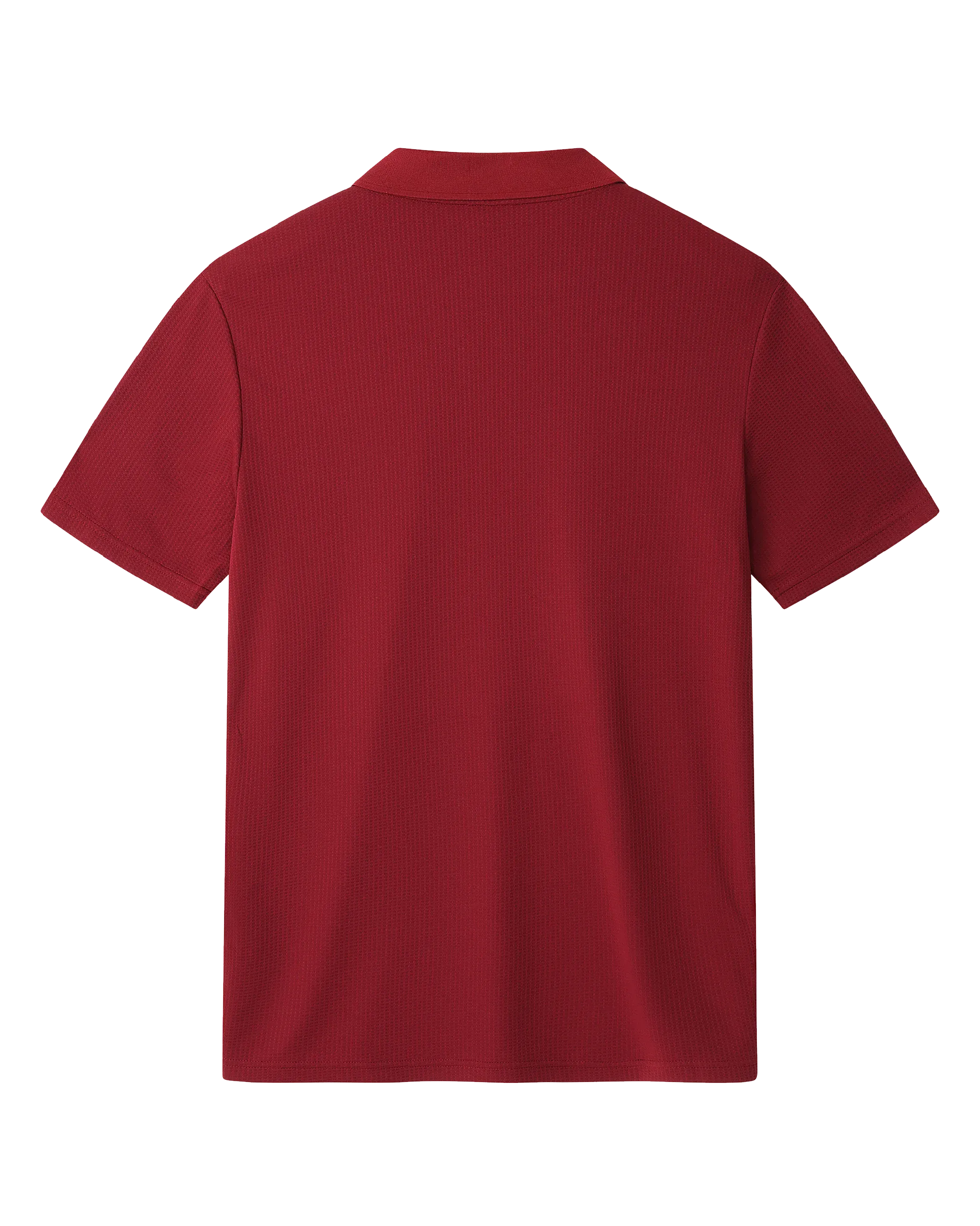 Wales Travel polo uomo bordeaux M