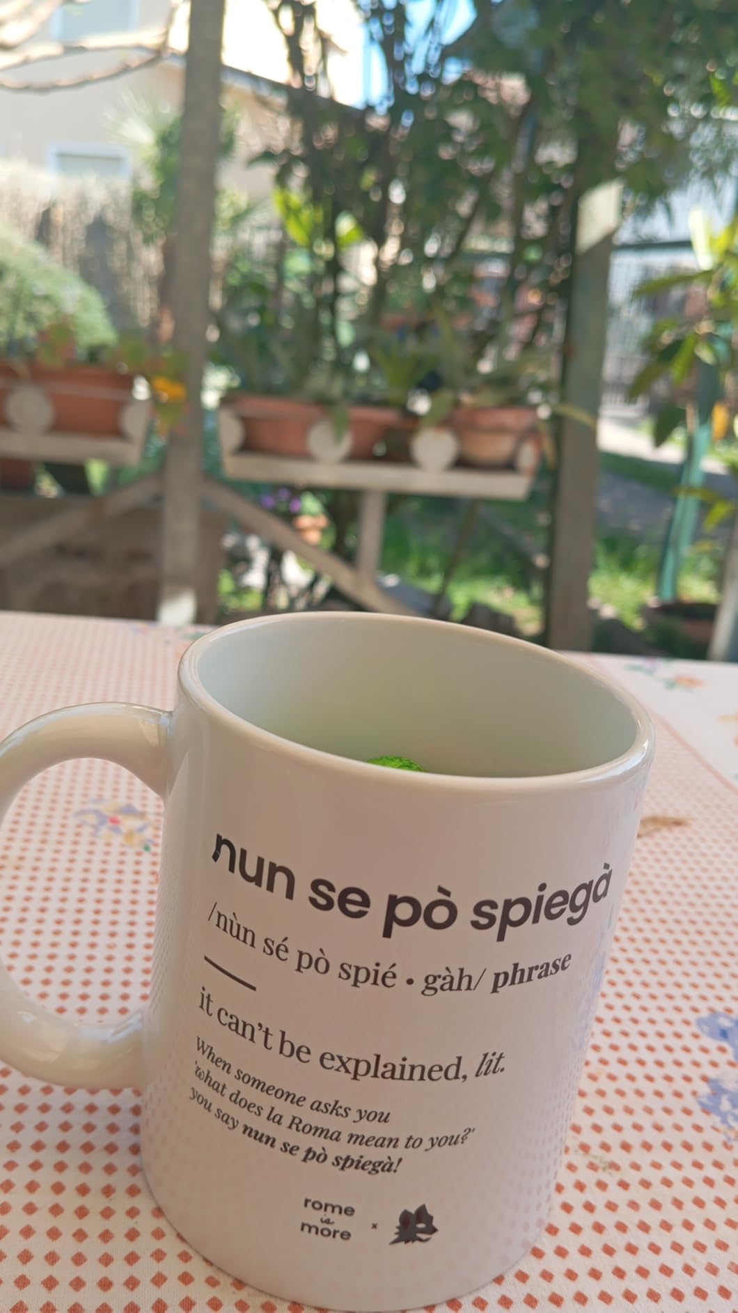 AS Roma Tazza Nun Se Po' Spiegà mug tifosi