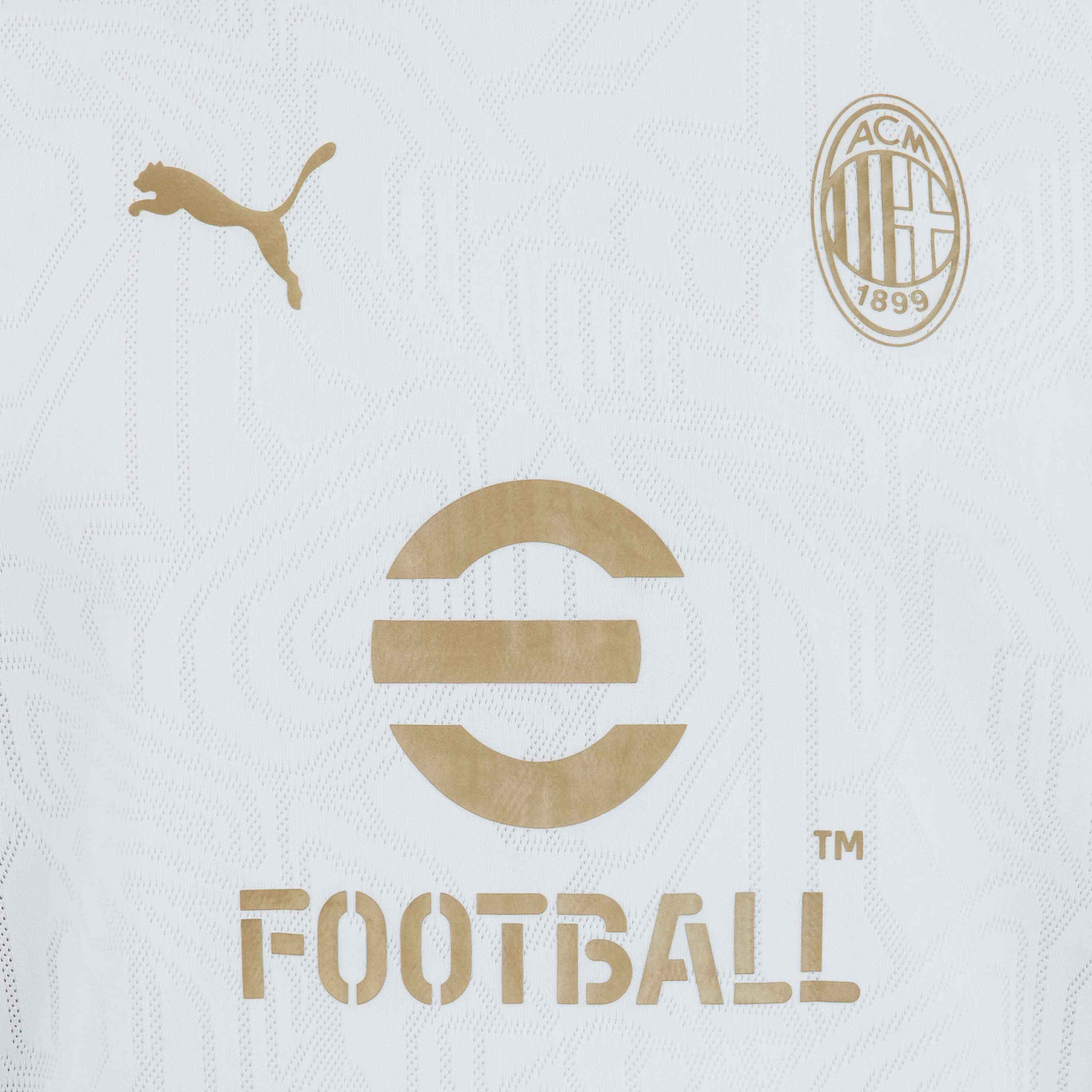 AC Milan Allenamento Training 2024/25 maglia uomo slim fit